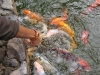 299-IMG_0093_2