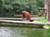 300-IMG_0094