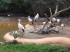 306-IMG_0104_3