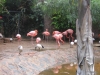 307-IMG_0105_3