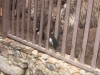 309-IMG_0108_3