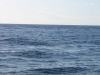 331-IMG_0021_4