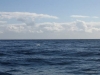 333-IMG_0027_4