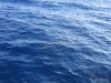 339-IMG_0043_4