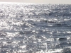 348-IMG_0053_4